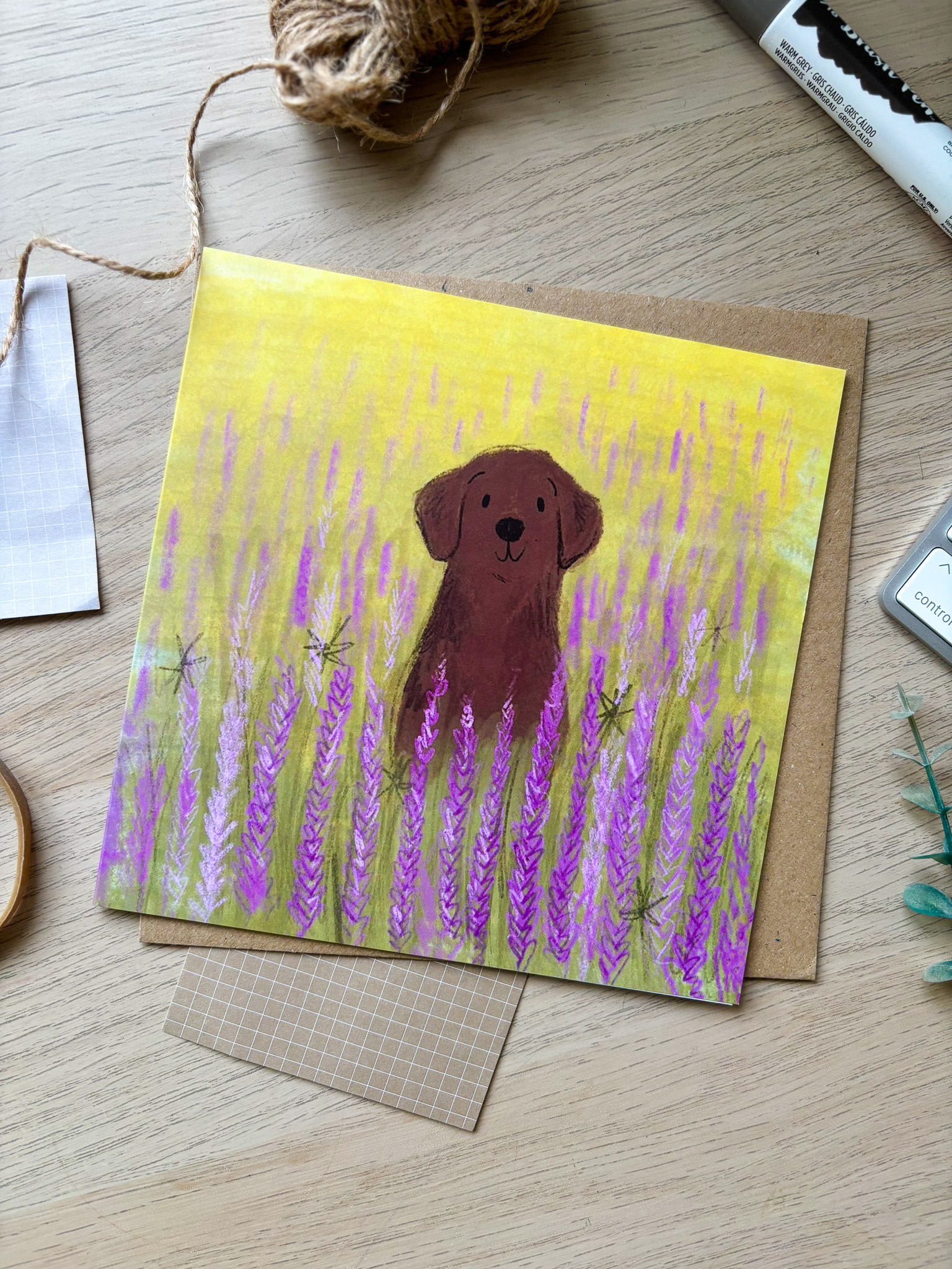 Chocolate Labrador in Lavender Field Greetings Card